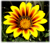 Infos über nachhaltige Geldanlagen, ethische Investments, grünes Geld, Sustainable bzw. Socially Responsible Investing SRI, die Kapital nach sozialen, ökologischen, ethischen und ökonomischen Kriterien anlegen, und deren Wirkung, Strategien, Grundlagen und Entwicklung sowie die Performancemessung von Aktienfonds (performance measurement)